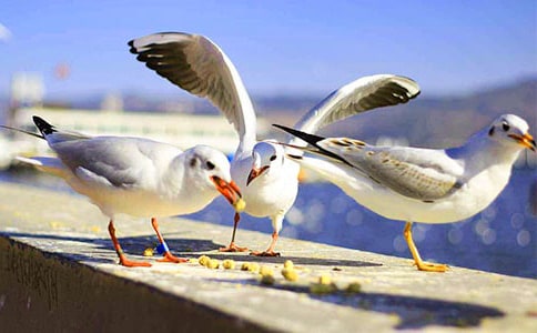 ���꼉���D�����ĺ��t�����x20ƪ��