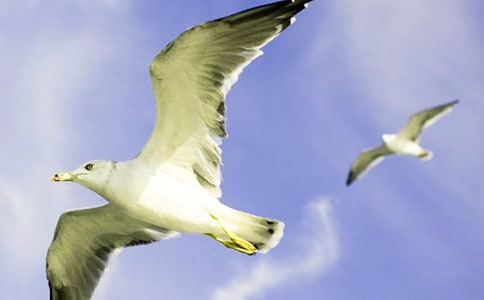 �w�؁��ĺ��t���꼉(j��)����