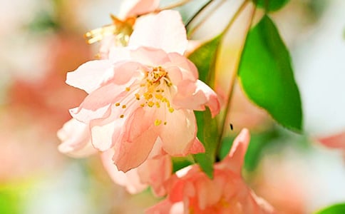 �����~(y��)���ġ����^�������