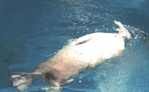 ����ۺ��󹫈@�������ģ����x15ƪ��