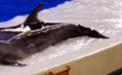 �ҌW(xu��)��������С�W(xu��)500������