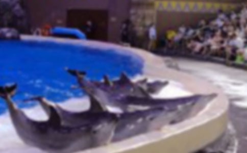 ���{(l��n)ɫ�ĺ����u���x���_550��