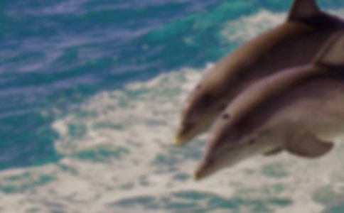 �ɐ�(��i)�ĺ������꼉(j��)����