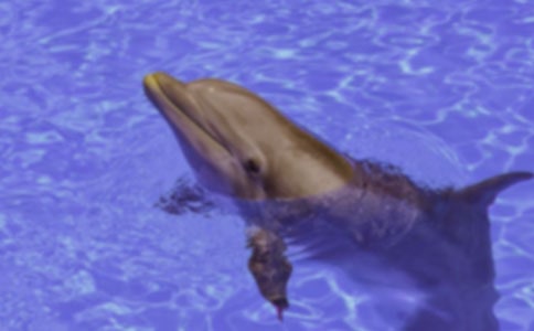 һ�l������Ҹ���������2ƪ