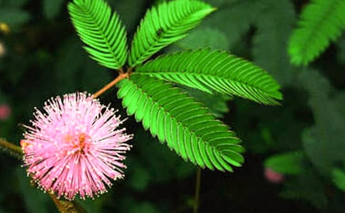 �P(gu��n)�ں��߲ݶ��꼉����300����ƪ