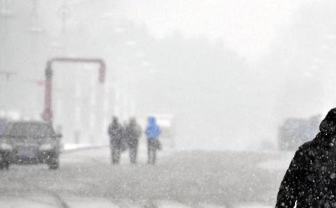 �����������L(f��ng)�đ�(y��ng)���A(y��)�����ģ�ͨ��6ƪ��