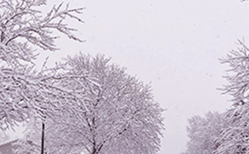 С�^(q��)�����������A�����ģ�ͨ��6ƪ��