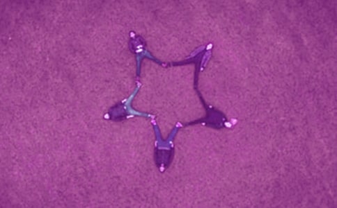 大年三十好友祝福語220句