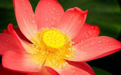 �茑����ɻ��ă�(y��u)������