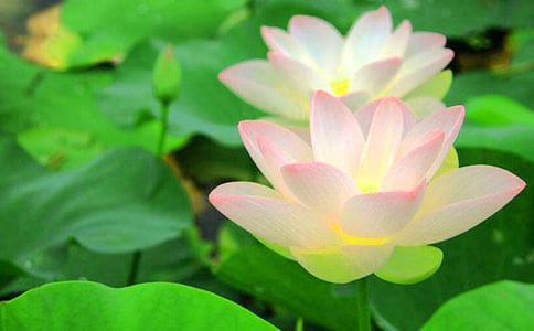 ���꼉���g(sh��)�σԡ��Pī�Α�-�ɻ����̰�����