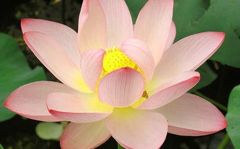 �����n�ɻ��n��ԭ�ļ��̰�