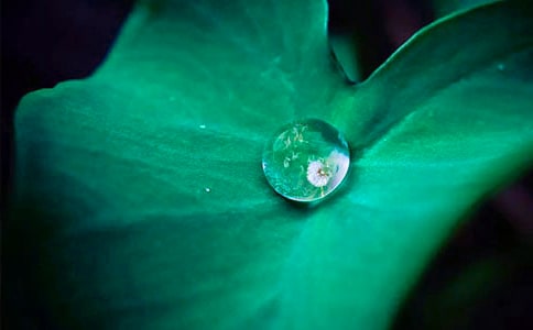 �����桶���~�A�A���f�n�巶��