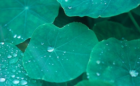 ��һ�����~���а��Z�Խ̰�