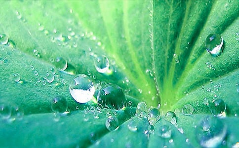 һ�꼉�ԡ����~�A�A����(y��u)��̌W��˼�����x5ƪ��