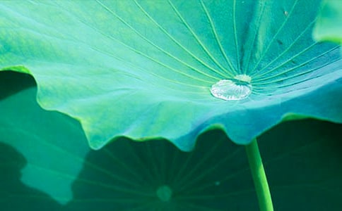 �а࿴�D�v����һ�����~���̌W(xu��)��˼����