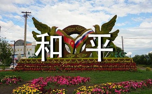 《生命與和平相愛精品》教案