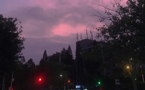 ��ҹ�����꼉����850��