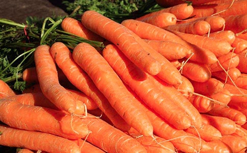 種胡蘿卜記三年級作文