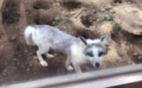 ��؂���Ɍ���ͯԒ����