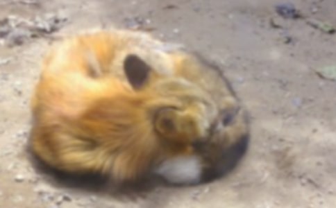 ��С��؂��׃����������Z(y��)�Խ̰�