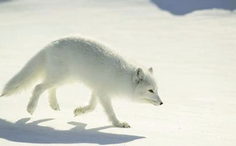 �P(gu��n)�ں�؂��Ԣ�Թ���(�ϼ�9ƪ)