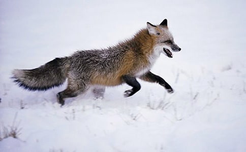 ��؂��؈�Ĺ��¸��V�҂�ʲô����