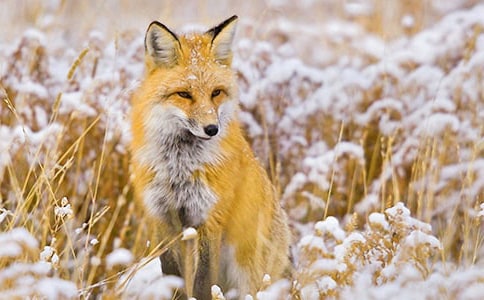 ���x��؂��ͯԒ�������ĺϼ�ʮƪ