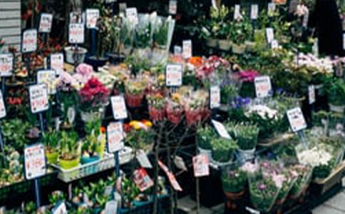 С�󻨵�����⽛(j��ng)����