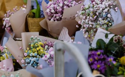 ����Ą�(chu��ng)�I(y��)Ӌ����15ƪ