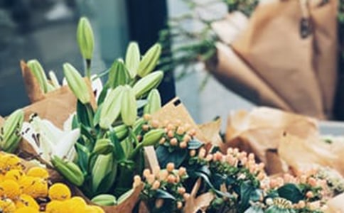 ��W(xu��)�������u����������`���