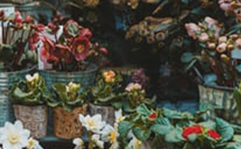 ��W(xu��)���������(hu��)��(sh��)�`��(b��o)��