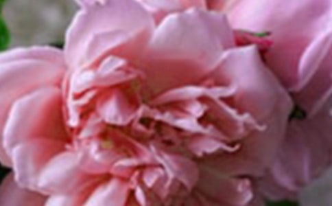 ���䃞(y��u)�����ӅR��78�l