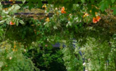 �Ҽҵĺ󻨈@���꼉(j��)����