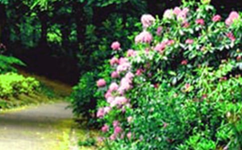 ���ݻ��@С�W(xu��)��Ƭ����