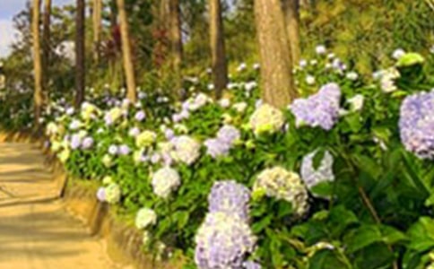 ���@����ʲô�̰�