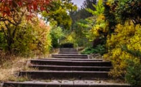 ���l(shu��)�Ļ��@�󡷽̰�