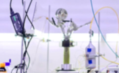 2021���W(xu��)�̌W(xu��)Ӌ(j��)��