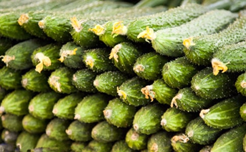 �P(gu��n)���S�ϵ�'С�W(xu��)���꼉(j��)����