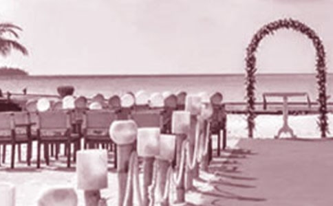 ��ܰ������Y�����~