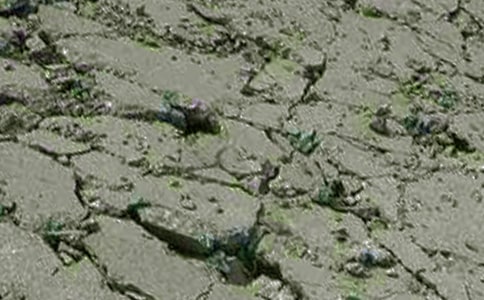 �������|(zh��)�����C��(sh��)