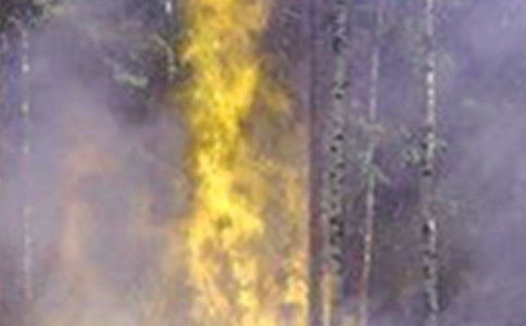 ɭ�ֻ��(z��i)���Ĺ����R��2ƪ