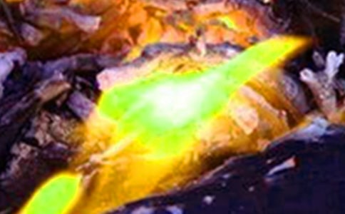 ��đ����V���壨ͨ��5ƪ��