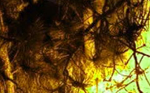 ���(z��i)���ع����������ģ�ͨ��15ƪ��