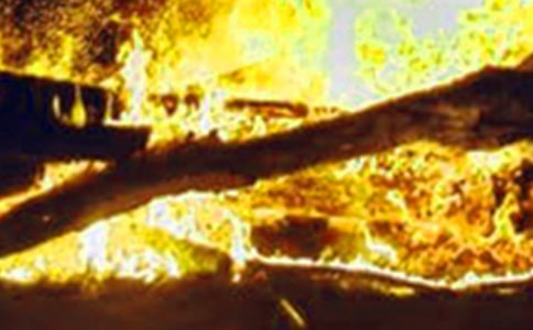 ��ɭ�ֻ����r�R��ͨ��7ƪ��