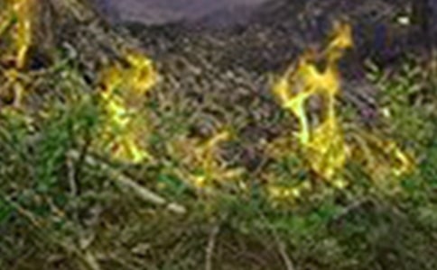 �����(z��i)�ďV���巶�ģ����x8ƪ��