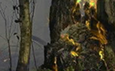 嚴(yán)防森林火災(zāi)橫幅標(biāo)語