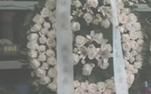 ����q������ɢ��