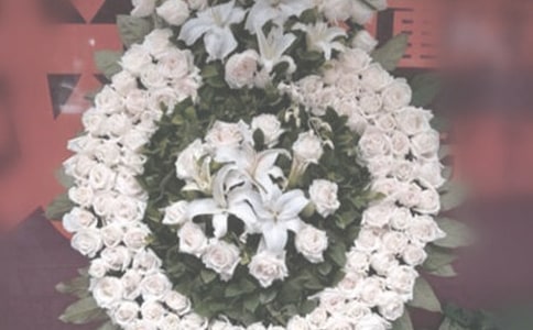 �W(w��ng)�ϼ���Ӣ�ҳ��h��