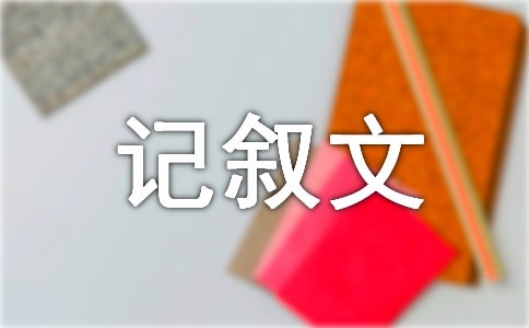 記敘文寫(xiě)作指導(dǎo)
