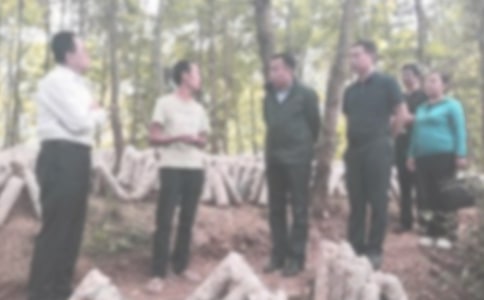 �W(xu��)�����֙C�`�o(j��)�zӑ�������x12ƪ��